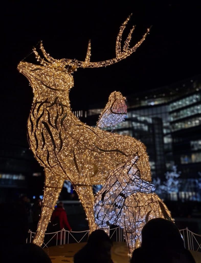 Reindeer made out of decorative lights.